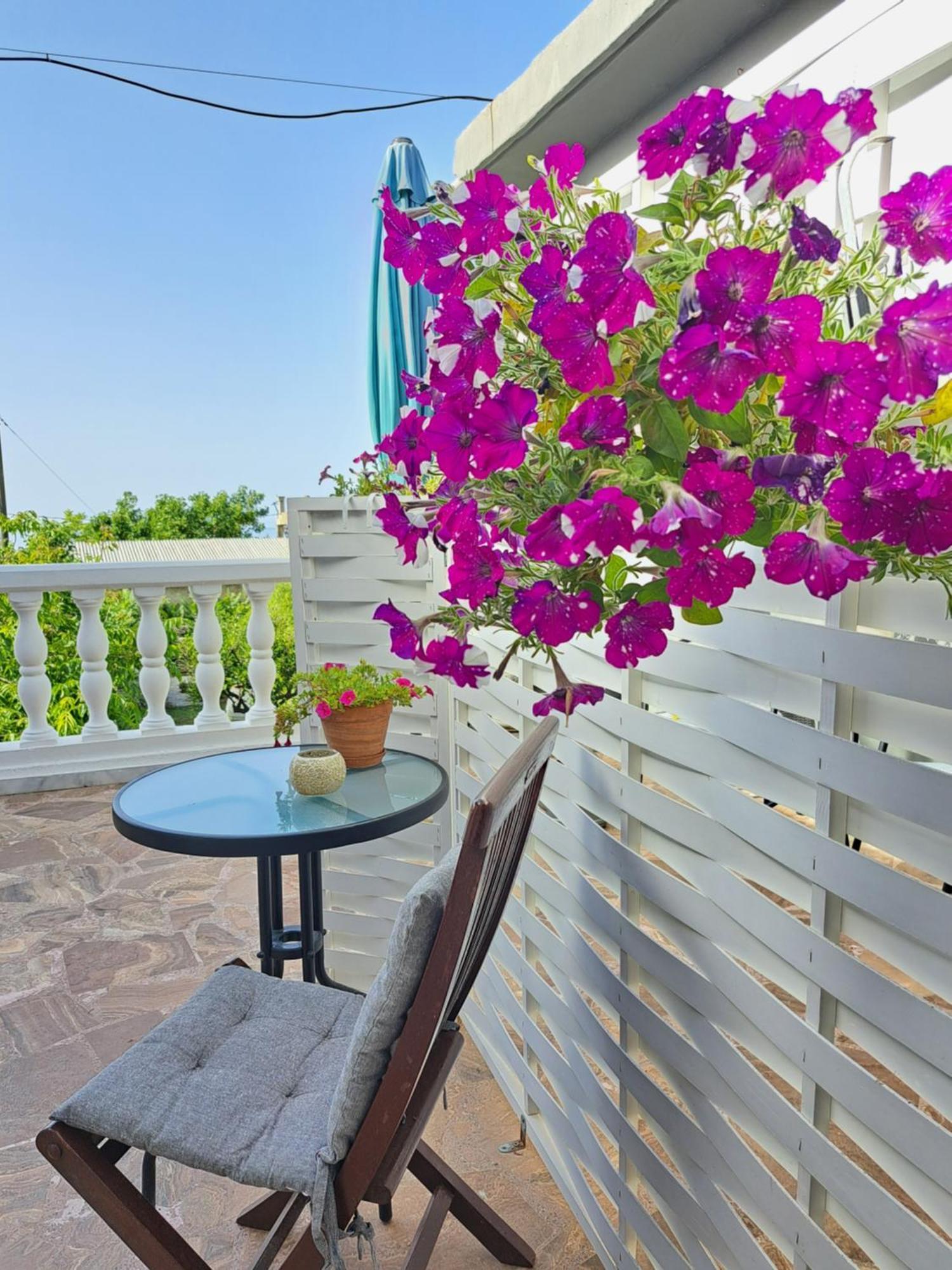 Garden Rooms Pirgos Psilonerou Exteriér fotografie