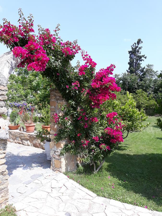 Garden Rooms Pirgos Psilonerou Exteriér fotografie